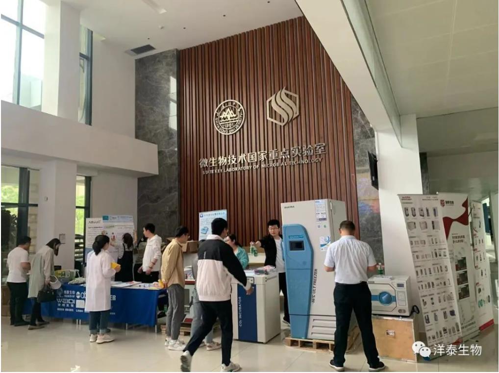 1688022474653444.jpg 4.jpg